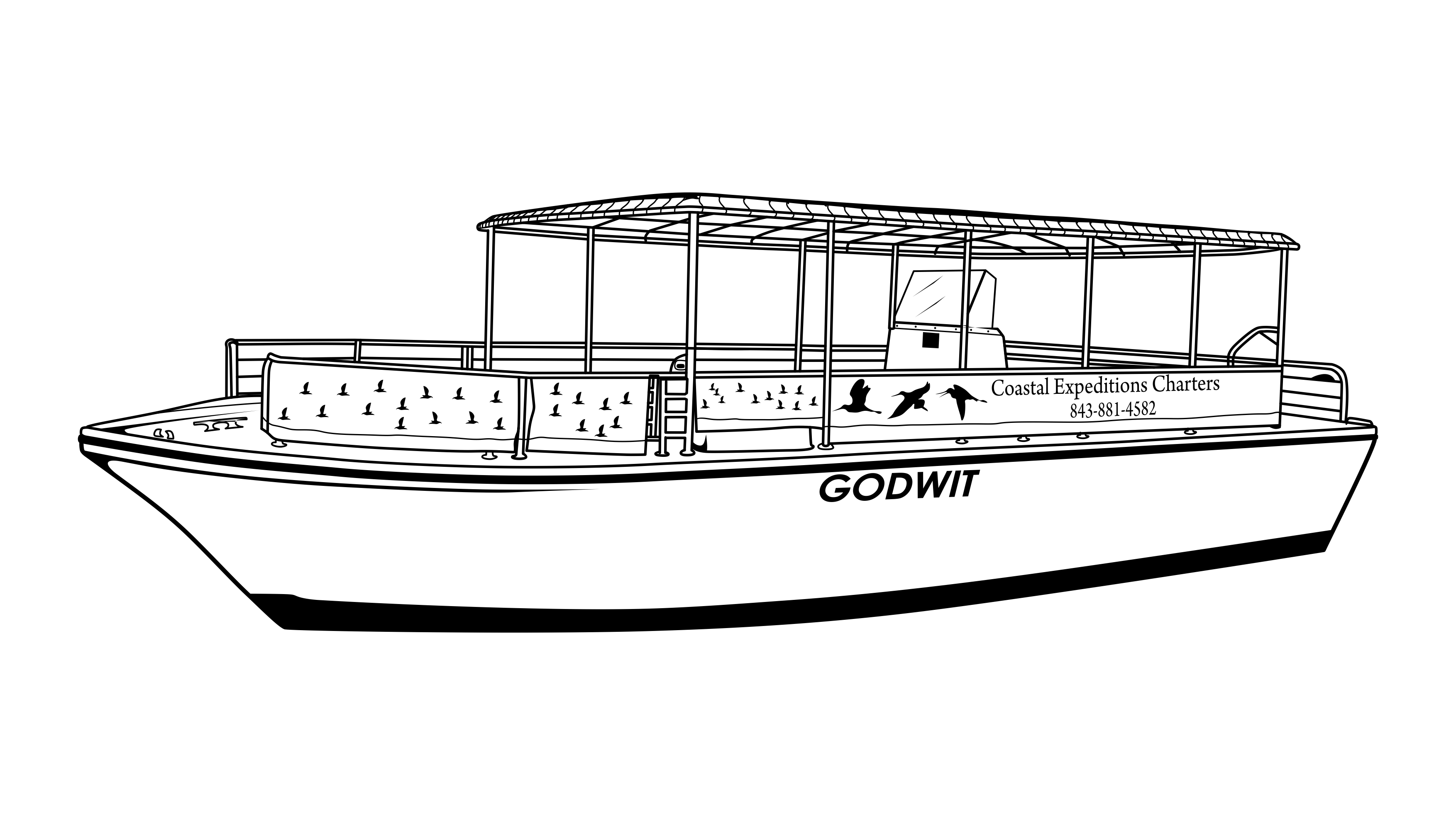 godwit-line-drawing